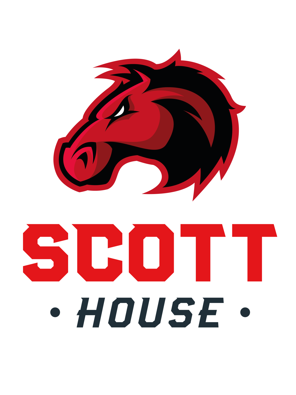 Scott house